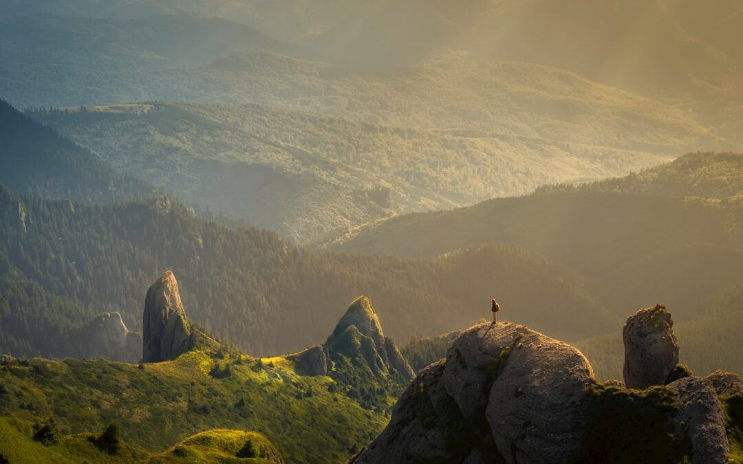 Photo Sleepwalking