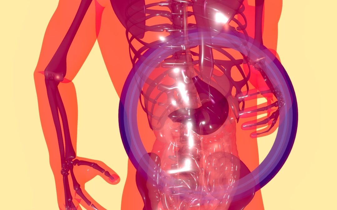 Photo Digestive system