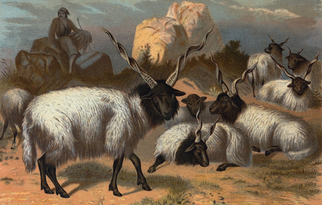 Hva er kortvarig psykose?