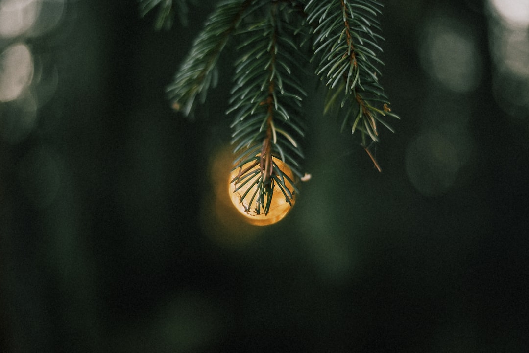 image-2 Akupunktør: Hva akupunktør er, arbeidsområder og behandlinger (diagnoser og symptomer de behandler), fakta og utdanning